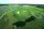Grand Bahama Golf - Westin Sheraton